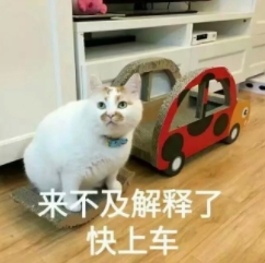 QQ截图20191010110442.png